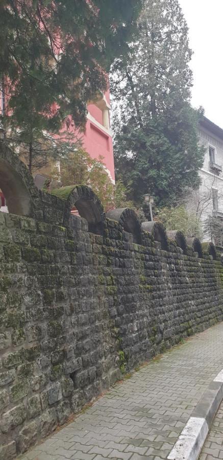 Hotel Casa Rosa Băile Olăneşti Exterior foto